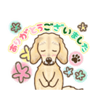 ダックス♡リアル風 落書き風などのmix（個別スタンプ：18）