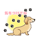 ダックス♡リアル風 落書き風などのmix（個別スタンプ：21）