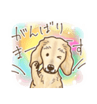 ダックス♡リアル風 落書き風などのmix（個別スタンプ：23）