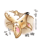 ダックス♡リアル風 落書き風などのmix（個別スタンプ：29）