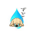 ダックス♡リアル風 落書き風などのmix（個別スタンプ：31）