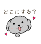 黒プードルのおでかけ旅（個別スタンプ：1）