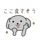 黒プードルのおでかけ旅（個別スタンプ：2）