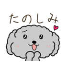 黒プードルのおでかけ旅（個別スタンプ：12）