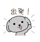 黒プードルのおでかけ旅（個別スタンプ：17）