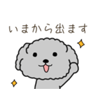 黒プードルのおでかけ旅（個別スタンプ：18）