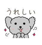 黒プードルのおでかけ旅（個別スタンプ：21）