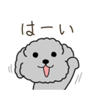 黒プードルのおでかけ旅（個別スタンプ：28）