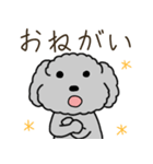 黒プードルのおでかけ旅（個別スタンプ：29）