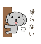 黒プードルのおでかけ旅（個別スタンプ：32）