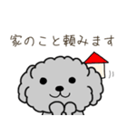 黒プードルのおでかけ旅（個別スタンプ：35）