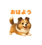 ずっと使えるもちもちシェルティ（個別スタンプ：1）