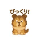 ずっと使えるもちもちシェルティ（個別スタンプ：13）