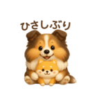 ずっと使えるもちもちシェルティ（個別スタンプ：37）