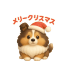 ずっと使えるもちもちシェルティ（個別スタンプ：39）