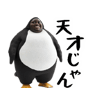 肯定するペンギン。(褒め・癒し優しい返信)（個別スタンプ：14）