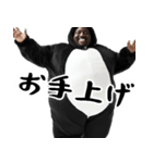 肯定するペンギン。(褒め・癒し優しい返信)（個別スタンプ：17）