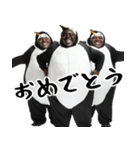 肯定するペンギン。(褒め・癒し優しい返信)（個別スタンプ：33）