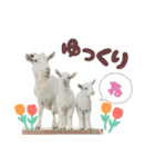 ヤギさんでごあいさつ♪（個別スタンプ：7）