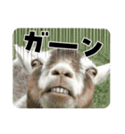 ヤギさんでごあいさつ♪（個別スタンプ：8）