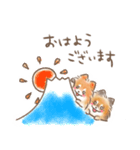 ポメラニアンの小福と幸丸♡幸福兄弟（個別スタンプ：1）