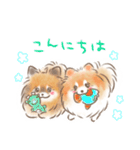 ポメラニアンの小福と幸丸♡幸福兄弟（個別スタンプ：2）