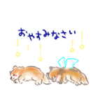 ポメラニアンの小福と幸丸♡幸福兄弟（個別スタンプ：4）