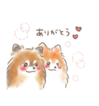 ポメラニアンの小福と幸丸♡幸福兄弟（個別スタンプ：6）