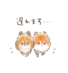 ポメラニアンの小福と幸丸♡幸福兄弟（個別スタンプ：10）