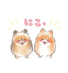 ポメラニアンの小福と幸丸♡幸福兄弟（個別スタンプ：15）
