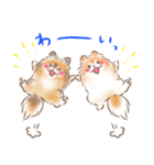 ポメラニアンの小福と幸丸♡幸福兄弟（個別スタンプ：16）