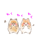 ポメラニアンの小福と幸丸♡幸福兄弟（個別スタンプ：17）