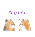 ポメラニアンの小福と幸丸♡幸福兄弟（個別スタンプ：21）