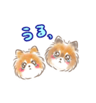 ポメラニアンの小福と幸丸♡幸福兄弟（個別スタンプ：23）