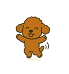 ぷーどるちゃんスタンプ vol.1（個別スタンプ：10）