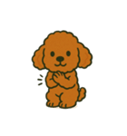ぷーどるちゃんスタンプ vol.1（個別スタンプ：11）
