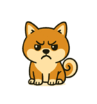 しば犬スタンプ vol.1（個別スタンプ：4）