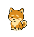 しば犬スタンプ vol.1（個別スタンプ：5）