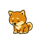 しば犬スタンプ vol.1（個別スタンプ：10）