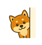 しば犬スタンプ vol.1（個別スタンプ：16）