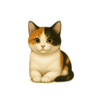 三毛ねこスタンプ vol.1（個別スタンプ：10）