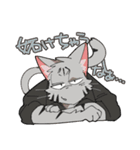 猫カフェ店員スタッフさんスタンプ（個別スタンプ：5）
