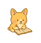 コーギーの生活 (にほんご) Ver2（個別スタンプ：37）