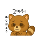 たぬき日本語＆韓国語（個別スタンプ：1）
