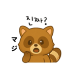 たぬき日本語＆韓国語（個別スタンプ：4）
