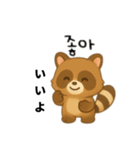 たぬき日本語＆韓国語（個別スタンプ：5）