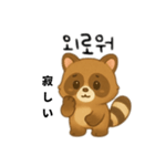 たぬき日本語＆韓国語（個別スタンプ：13）