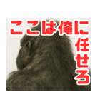 イカしたゴリラスタンプ（個別スタンプ：22）