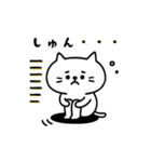 毎日使える！しらたまスタンプ（個別スタンプ：23）