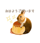 タイニーなプリンちゃん1（個別スタンプ：2）
